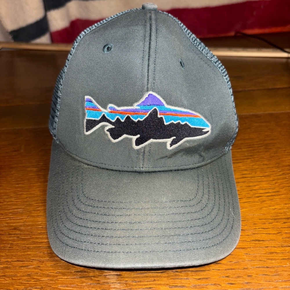 Patagonia Gray and Blue Fish Logo Hat - Picture 1 of 7